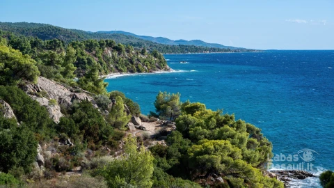 aegean-sea-coast-greece-rocky-hills-with-growing-trees-bushes-wide-expanse-water