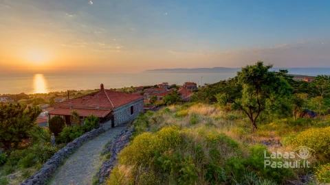 high-angle-shot-houses-by-trees-sunset-captured-lesbos-greece