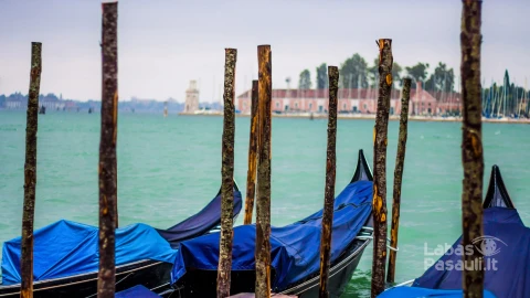 covered-gondolas-docked-venetian-canal-cloudy-day-min