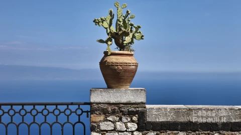 italy-sicily-castelmola-taormina-view-ionian-sea-calabria-coast-prickly-pears-vase-min