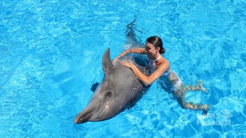happy-woman-swims-with-cute-dolphin-blue-water-min