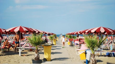 RiminibeachSiriBL_FLickr-5b41ce7846e0fb00379c3403