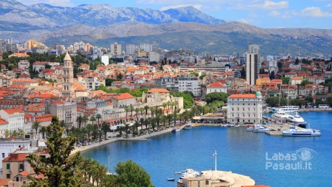Split