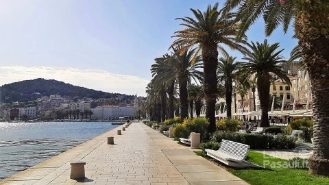 split-6