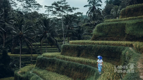 beauty-woman-posing-rise-nature-bali-min