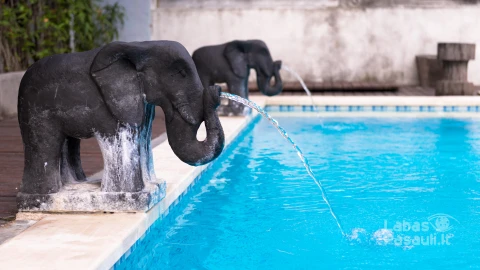 elephant-shaped-fountains-min