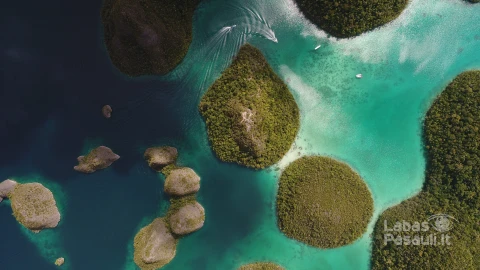 aerial-shot-wayag-islands-raja-ampat-west-papua-indonesia (1)