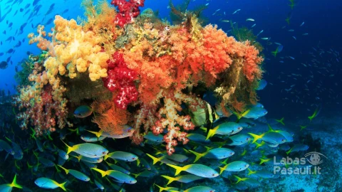 Best-Places-To-Visit-Indonesia-Raja-Ampat