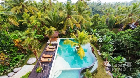 a-family-resort-in-ubud-bali