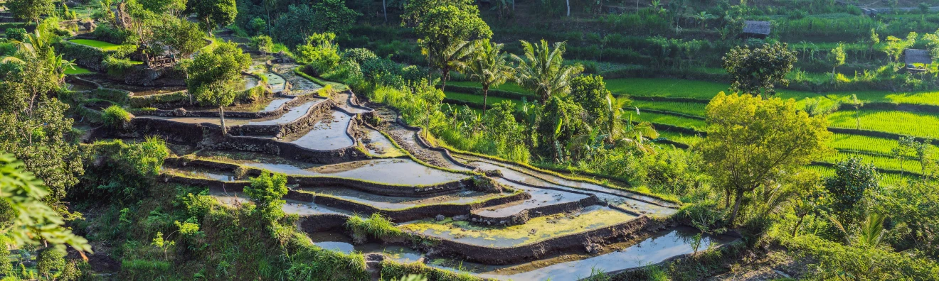 Kelionės į Indoneziją