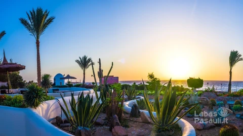 Renaissance By Marriott Golden View Beach Sharm El Sheikh 5*